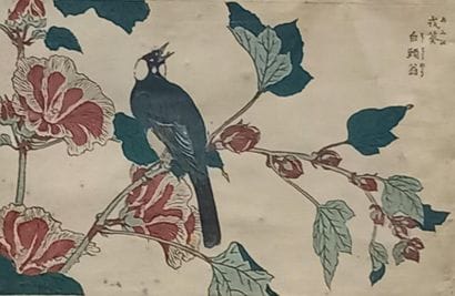 Two Japanese prints

Flowers and Birds

Sight...