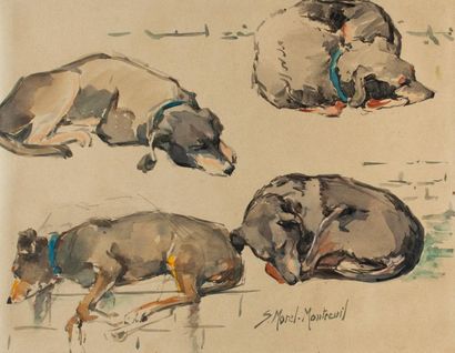 Suzannne MOREL-MONTREUIL 

Dog study. Watercolor...