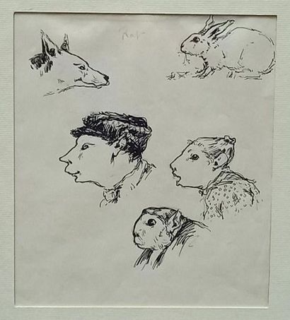 RAP

Study of 5 heads from human to animal

Ink...