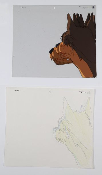 Yasushi HIRANO

