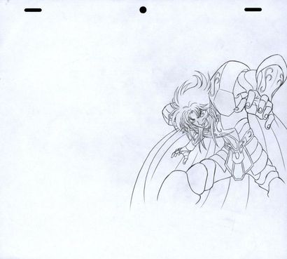 CHEVALIERS DU ZODIAQUE (Saint Seiya) 

D'après...