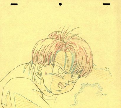 DRAGON BALL Z 

D'apres Akira Toriyama Studio...