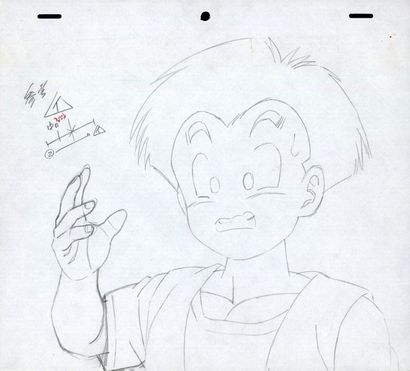 DRAGON BALL Z 

D'apres Akira Toriyama Studio...