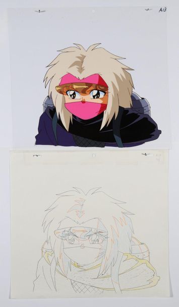 Yuichi HASEGAWA et Hiroyuki SHIZU

