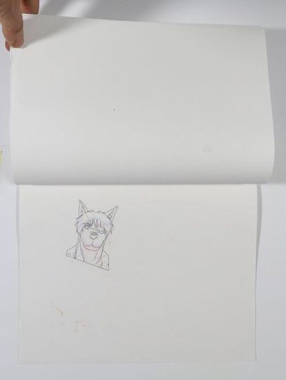 Yasushi HIRANO

