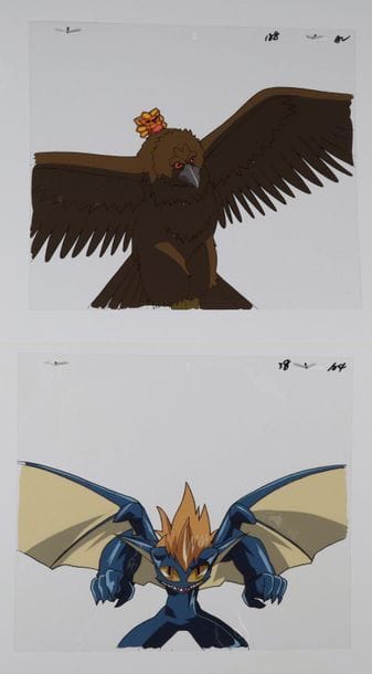 Satoru HAKAHORI et Katsumi HASEGAWA

