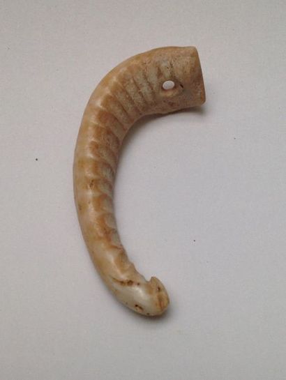 Fish bone that was made into a pendant in...
