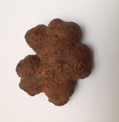 Nodule of marcasite with an earthy patina.

L:...