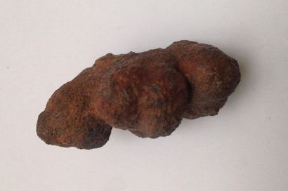 Nodule of marcasite with an earthy patina.

L:...