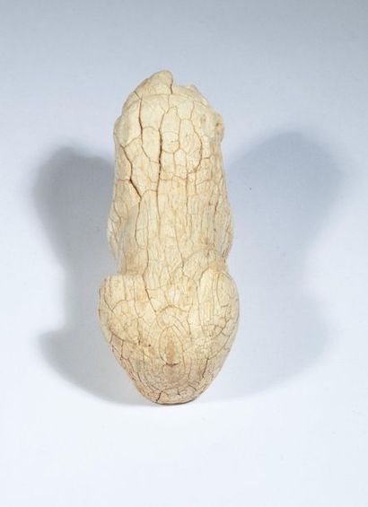 Lion lying in ivory. 

Persia, first millennium...