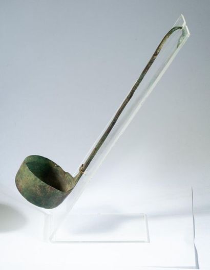 Bronze simpliulum with green patina and duck...