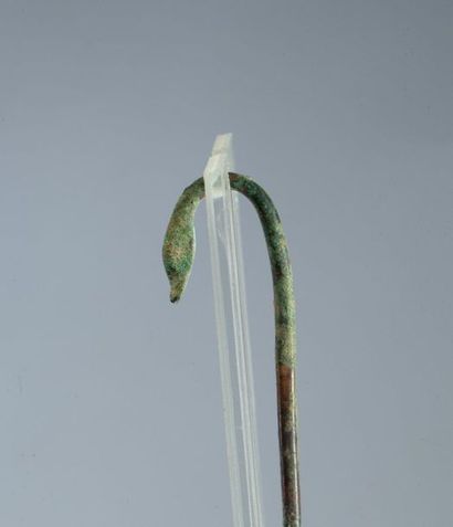Bronze simpliulum with green patina and duck...
