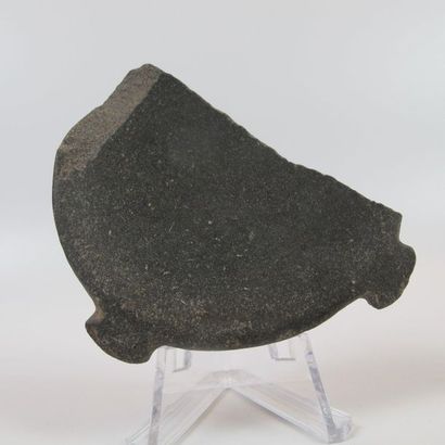 Fragmentary blush pallet. Grey-green shale....