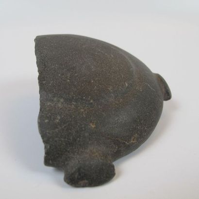 Fragmentary blush pallet. Grey-green shale....