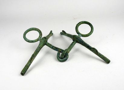 Large articulated jaw

Bronze 28 cm

Luristan,...