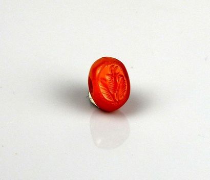 Seal representing a horned animal in plants

Carnelian...