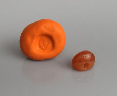 Seal representing a horned animal in plants

Carnelian...