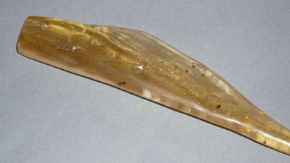 Drop of amber (perhaps pressed) containing...