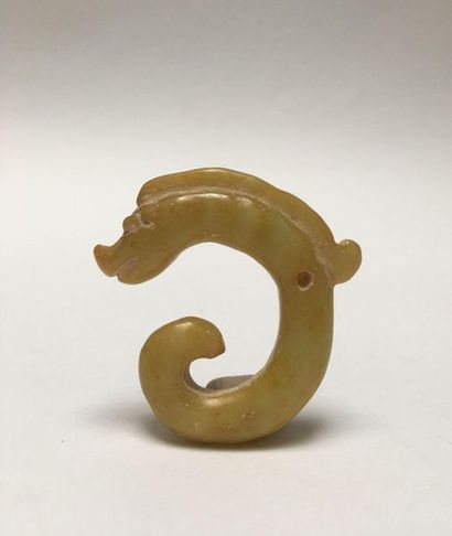 Dragon wrapped in jade 