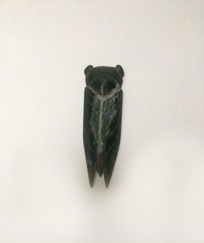 Dark green jade cicada. The eyes, wings and...