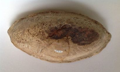 Rare beige terracotta boat decorated with...