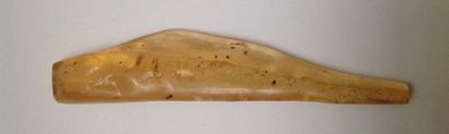 Drop of amber (perhaps pressed) containing...