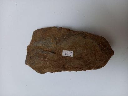 Upper Paleozoic trilobite 

(320 million...