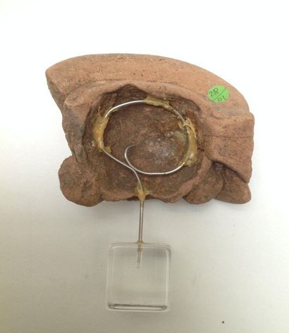Pink terracotta fragmentary head with bitumen...