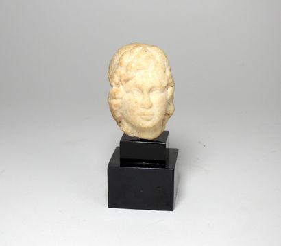 Head of an ephebe of the Antinous or Alexander...