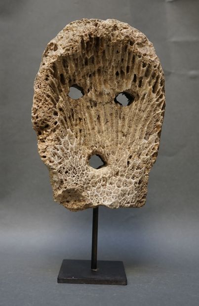 Coral and fossil head. Eyes and mouth represented...