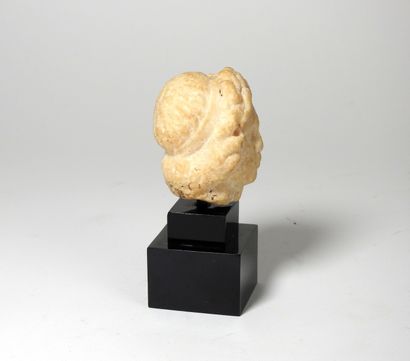 Head of an ephebe of the Antinous or Alexander...