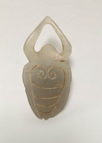 Water flea in jade color 