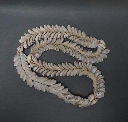 Long necklace made of a string of white shells....