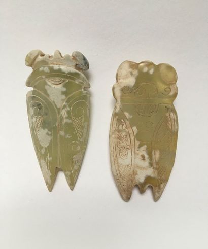Two cicadas in green jade partially calcified...