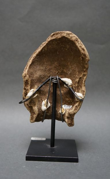 Profile of a notable or dignitary Etruscan...