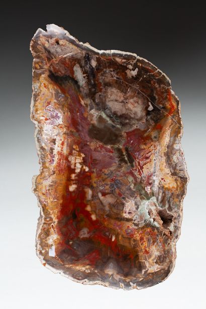 Araucaria fossilized wood block

33x18x12cm,...