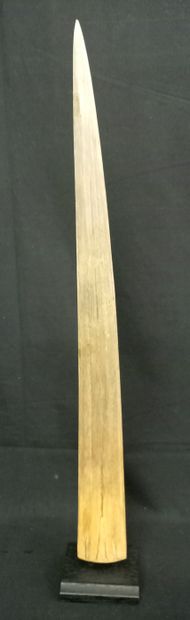 
Rostre d'espadon sur base en bois. H: 72cm,...