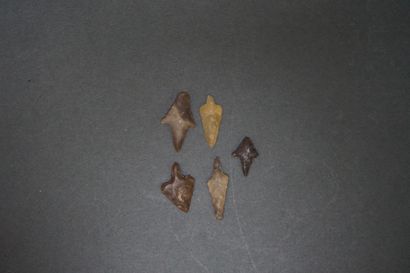 Set of five Neolithic flint arrowheads with...