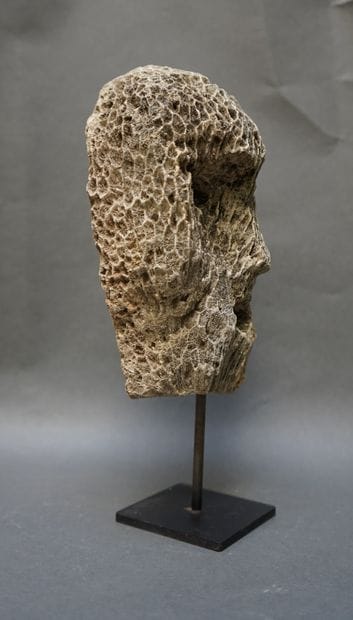 Coral and fossil head. Eyes and mouth represented...