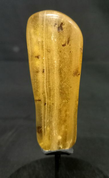 Block of copal with inclusion of insects...