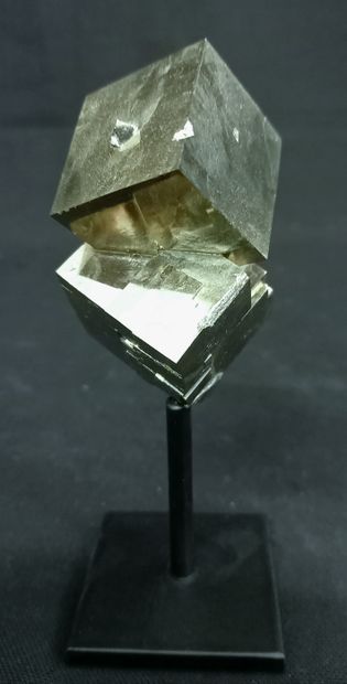 Cubic pyrite on base. Natural crystal in...