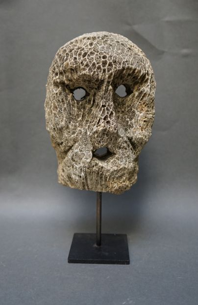 Coral and fossil head. Eyes and mouth represented...