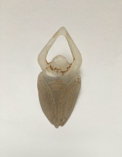 Water flea in jade color 