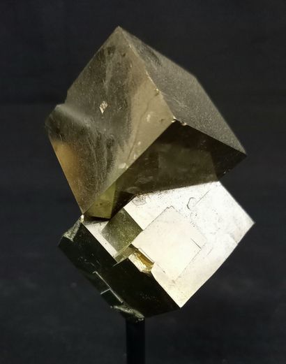 Cubic pyrite on base. Natural crystal in...