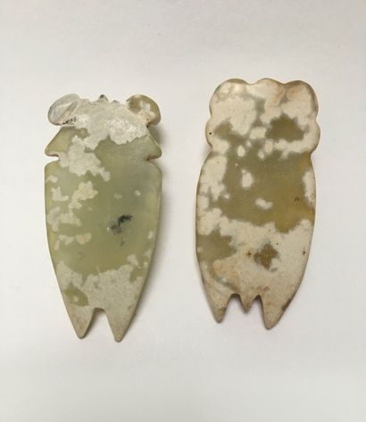 Two cicadas in green jade partially calcified...