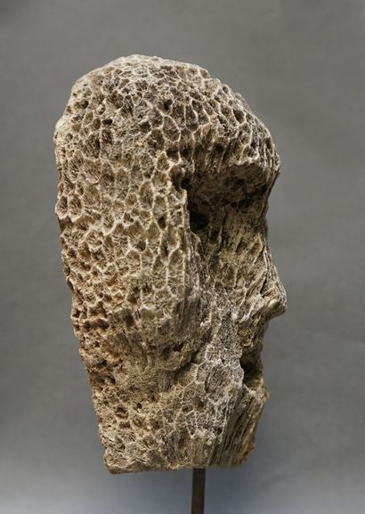 Coral and fossil head. Eyes and mouth represented...