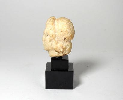 Head of an ephebe of the Antinous or Alexander...