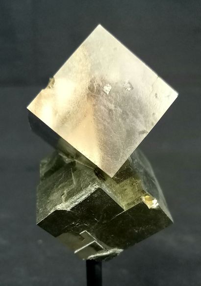 Cubic pyrite on base. Natural crystal in...