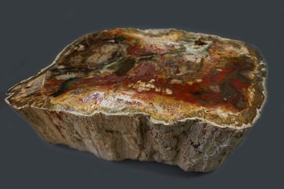 Araucaria fossilized wood block

33x18x12cm,...