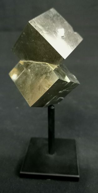 Cubic pyrite on base. Natural crystal in...